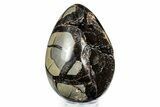 Polished Dragon Egg Septarian Geode #342597-2